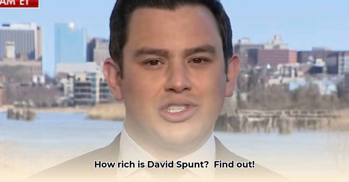 david-spunt-net-worth